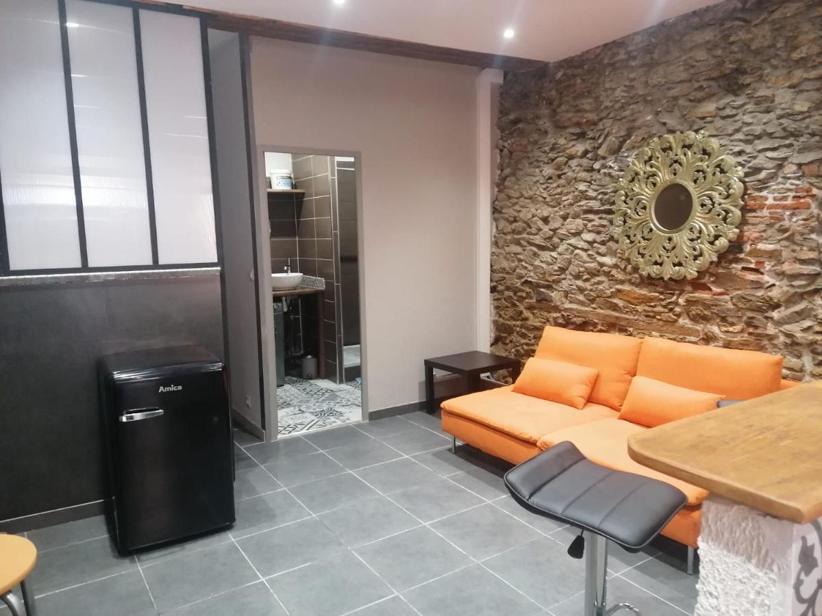 Du Bonheur Et Du Bon Air A Banyuls ! Apartman Kültér fotó